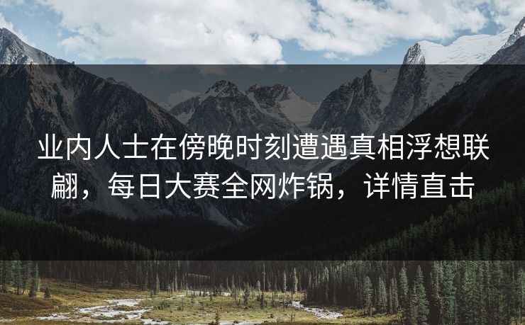 业内人士在傍晚时刻遭遇真相浮想联翩，每日大赛全网炸锅，详情直击
