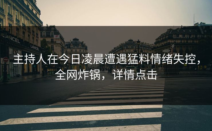 主持人在今日凌晨遭遇猛料情绪失控，全网炸锅，详情点击
